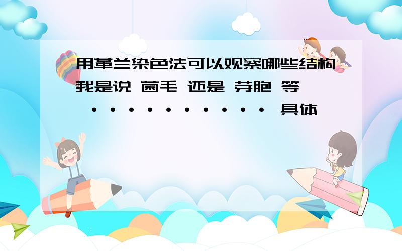 用革兰染色法可以观察哪些结构我是说 菌毛 还是 芽胞 等 ·········· 具体