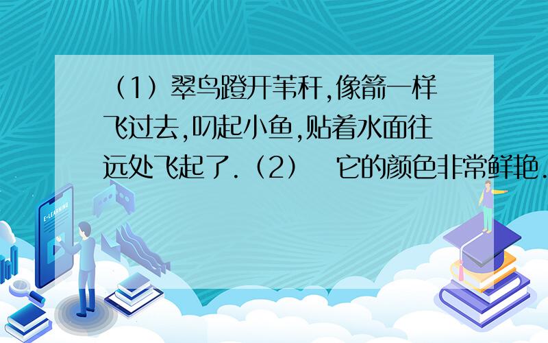 （1）翠鸟蹬开苇秆,像箭一样飞过去,叼起小鱼,贴着水面往远处飞起了.（2）　它的颜色非常鲜艳.头上的羽毛像橄榄色的头巾,绣满了翠鸟绿色的花纹.背上的羽毛像浅绿色的外衣.腹部的羽毛像