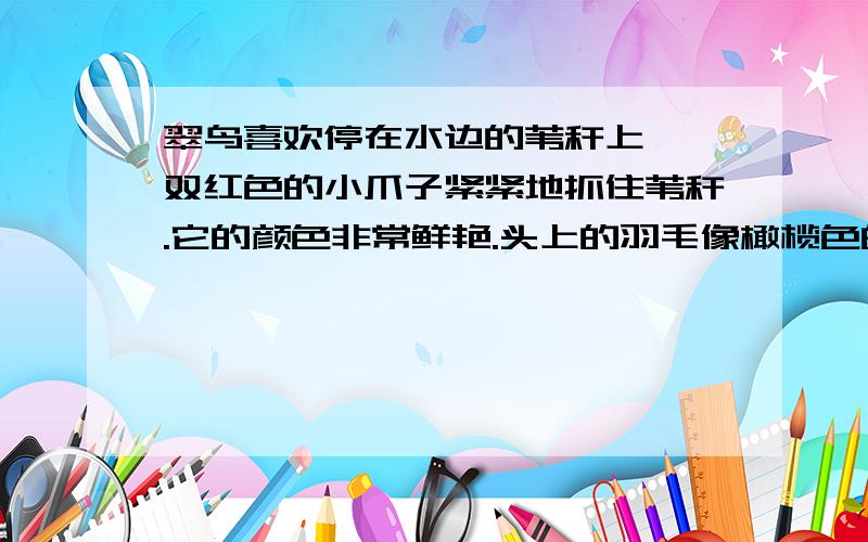 翠鸟喜欢停在水边的苇秆上,一双红色的小爪子紧紧地抓住苇秆.它的颜色非常鲜艳.头上的羽毛像橄榄色的头巾,绣满了翠绿色的花纹.背上的羽毛像浅绿色的外衣.腹部的羽毛像赤褐色的衬衫.它