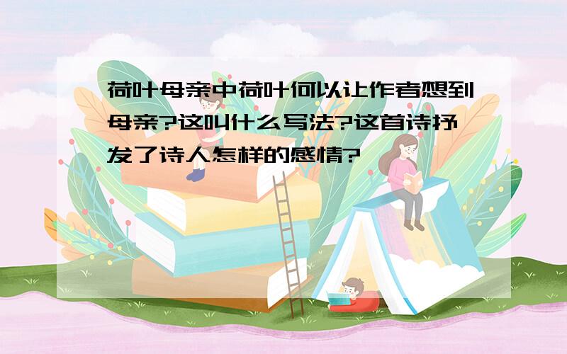 荷叶母亲中荷叶何以让作者想到母亲?这叫什么写法?这首诗抒发了诗人怎样的感情?