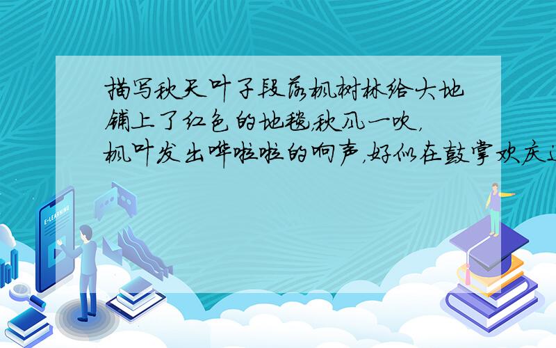 描写秋天叶子段落枫树林给大地铺上了红色的地毯，秋风一吹，枫叶发出哗啦啦的响声，好似在鼓掌欢庆这丰收的景象。看，那菊花，它们开得多么热烈！多么旺盛！黄的、红的、白的、紫