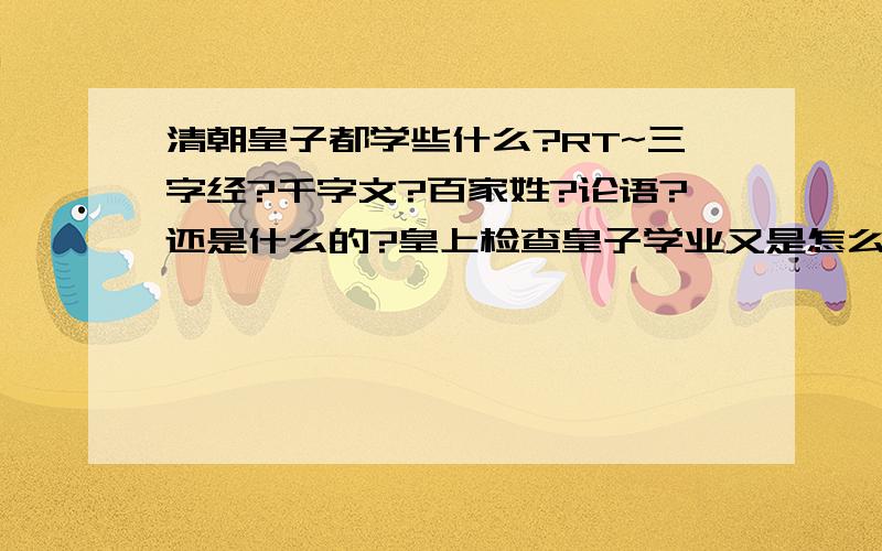 清朝皇子都学些什么?RT~三字经?千字文?百家姓?论语?还是什么的?皇上检查皇子学业又是怎么检查的?还有,知道有关清朝各方面的文化的,也可以私我,比如说朝见外国使臣的程序啊,礼节啊什么