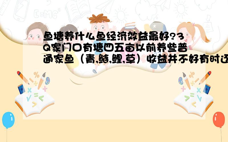 鱼塘养什么鱼经济效益最好?3Q家门口有塘四五亩以前养些普通家鱼（青,鲢,鲤,草）收益并不好有时还陪钱!