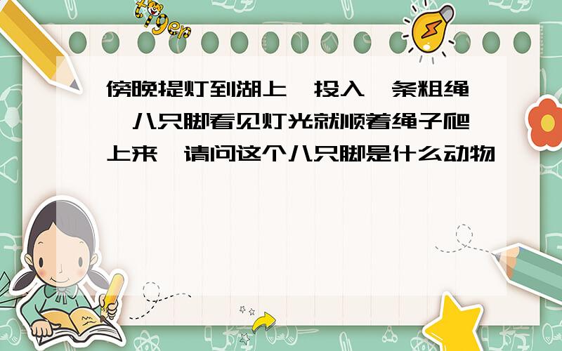 傍晚提灯到湖上,投入一条粗绳,八只脚看见灯光就顺着绳子爬上来,请问这个八只脚是什么动物,