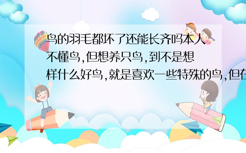 鸟的羽毛都坏了还能长齐吗本人不懂鸟,但想养只鸟,到不是想样什么好鸟,就是喜欢一些特殊的鸟,但在我们这的鸟市上特殊的鸟都是羽翼不太好,不论翅膀和尾翼都有很大程度的破损甚至尾翼