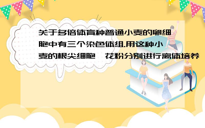 关于多倍体育种普通小麦的卵细胞中有三个染色体组.用这种小麦的根尖细胞、花粉分别进行离体培养,发育成的植株分别是A六倍体、单倍体 B六倍体、三倍体C二倍体、三倍体 D三倍体、单倍