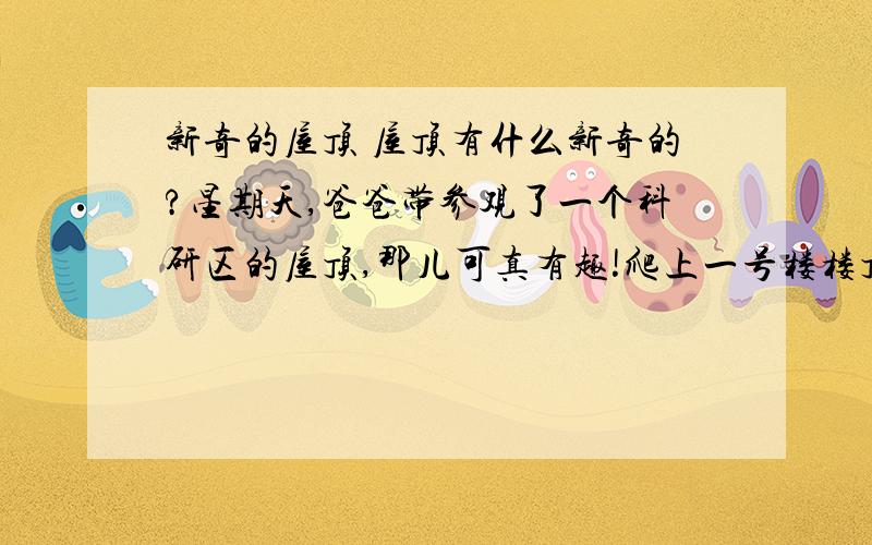 新奇的屋顶 屋顶有什么新奇的?星期天,爸爸带参观了一个科研区的屋顶,那儿可真有趣!爬上一号楼楼顶,我惊奇地睁大了眼睛.这里是一个碧水汪汪的池子!绿色的浮萍底下,数不清的鱼儿在游动.