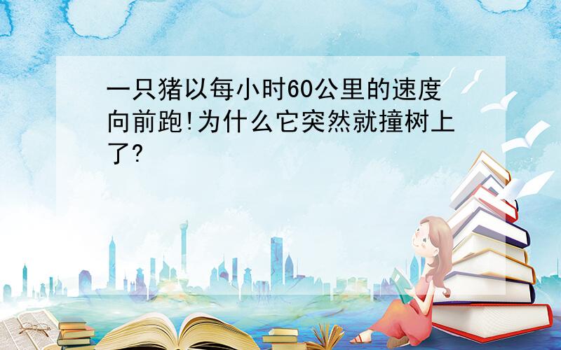 一只猪以每小时60公里的速度向前跑!为什么它突然就撞树上了?