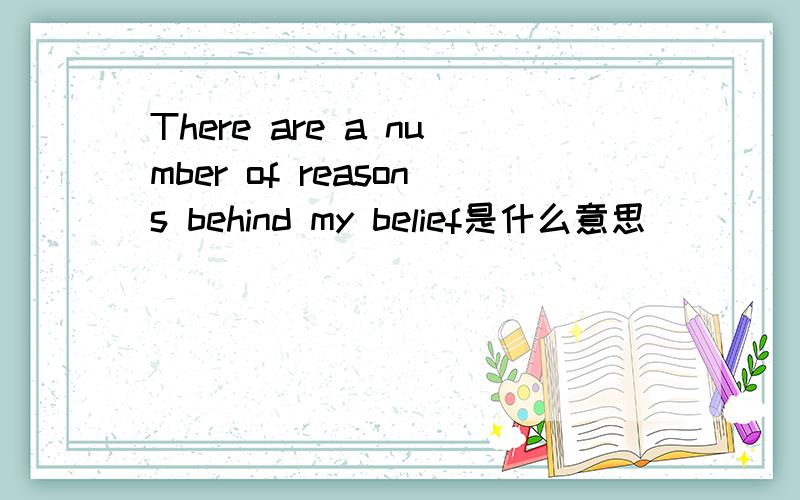 There are a number of reasons behind my belief是什么意思