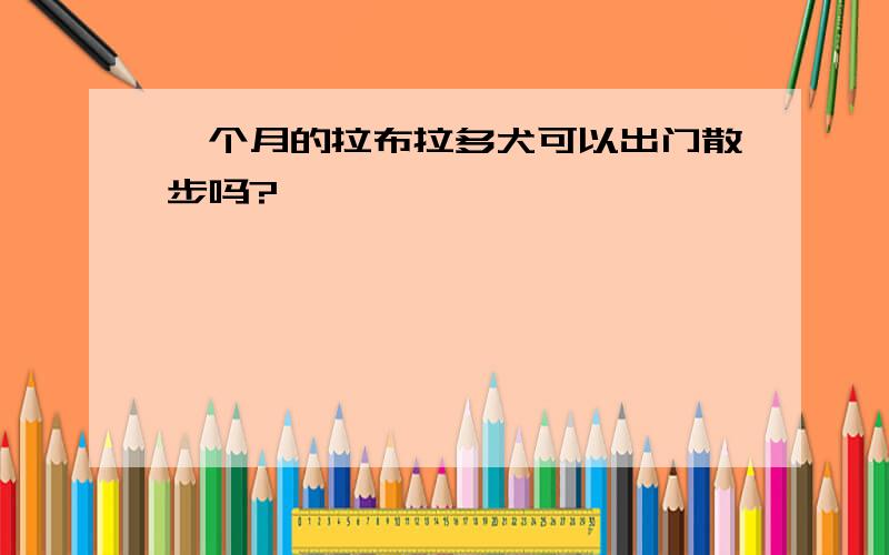 一个月的拉布拉多犬可以出门散步吗?