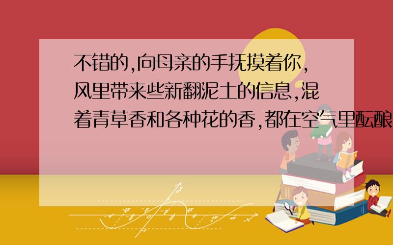 不错的,向母亲的手抚摸着你,风里带来些新翻泥土的信息,混着青草香和各种花的香,都在空气里酝酿.这句话前面应该加哪一句古诗?六点半之前回答!要快!