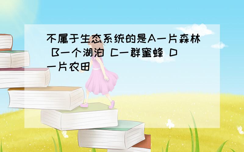 不属于生态系统的是A一片森林 B一个湖泊 C一群蜜蜂 D一片农田