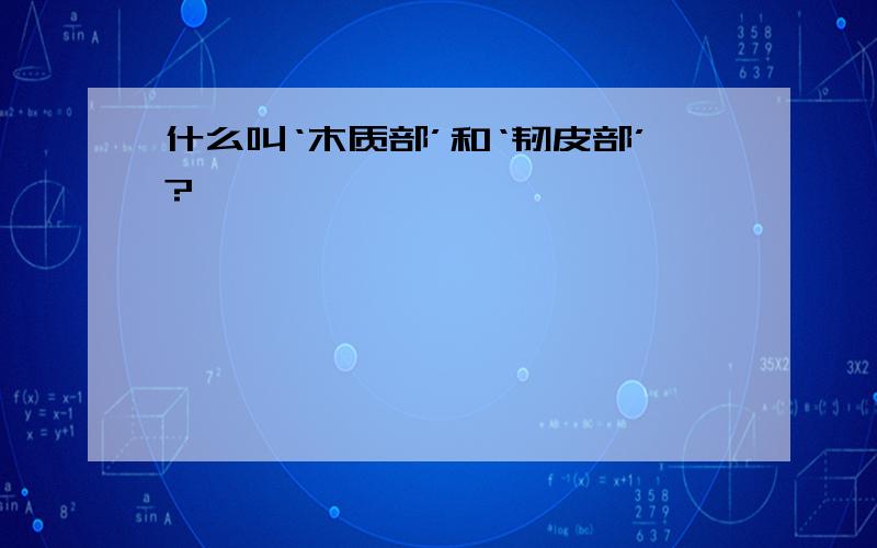 什么叫‘木质部’和‘韧皮部’?