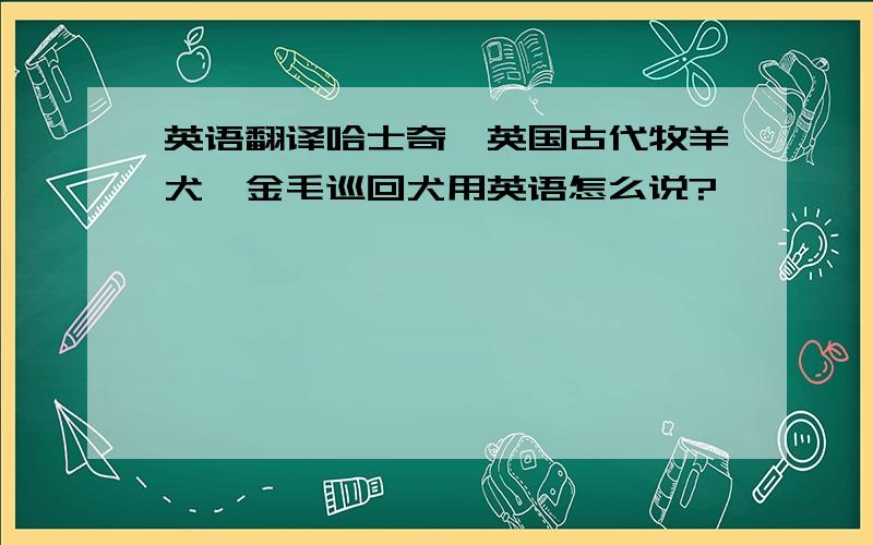 英语翻译哈士奇,英国古代牧羊犬,金毛巡回犬用英语怎么说?