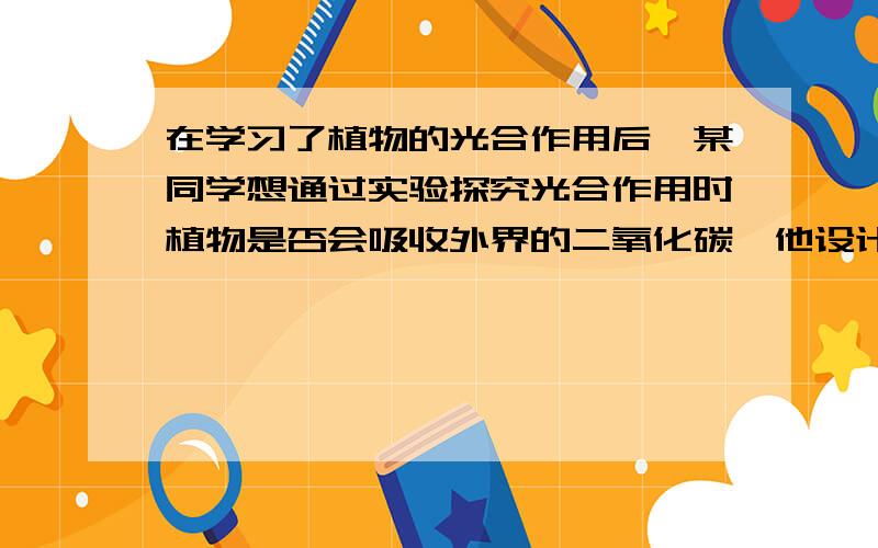 在学习了植物的光合作用后,某同学想通过实验探究光合作用时植物是否会吸收外界的二氧化碳,他设计了如图实验装置,该同学实验发现现象不明显,请你提出改进意见.答案是将石灰水改成氢