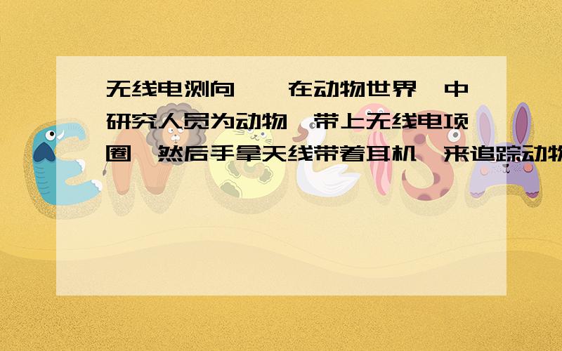 无线电测向,《在动物世界》中研究人员为动物,带上无线电项圈,然后手拿天线带着耳机,来追踪动物.难道无线电测向就靠耳朵听?