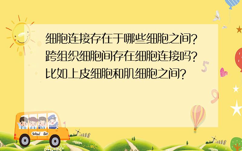 细胞连接存在于哪些细胞之间?跨组织细胞间存在细胞连接吗?比如上皮细胞和肌细胞之间?