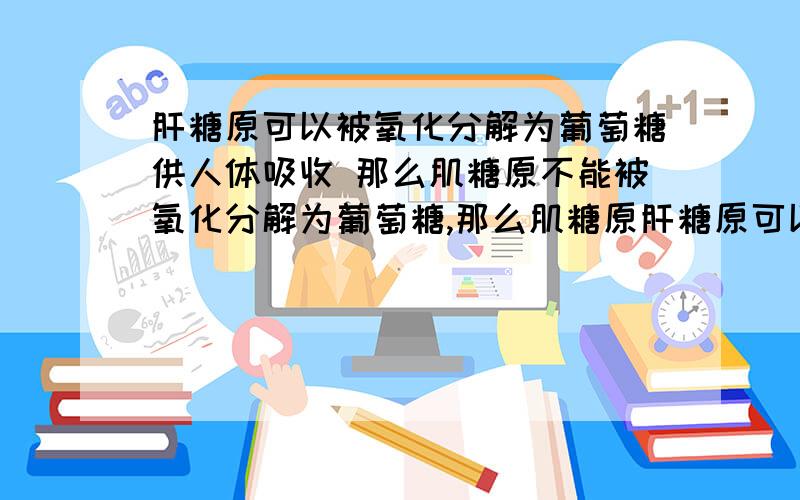 肝糖原可以被氧化分解为葡萄糖供人体吸收 那么肌糖原不能被氧化分解为葡萄糖,那么肌糖原肝糖原可以被氧化分解为葡萄糖供人体吸收 那么肌糖原不能被氧化分解为葡萄糖,那么肌糖原的作