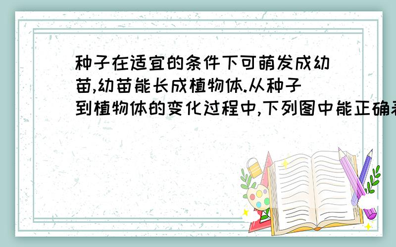 种子在适宜的条件下可萌发成幼苗,幼苗能长成植物体.从种子到植物体的变化过程中,下列图中能正确表示有机物质量变化的是