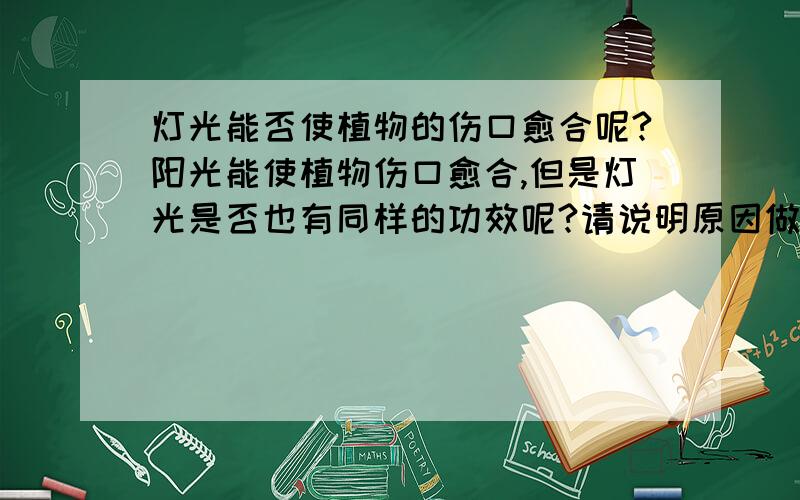 灯光能否使植物的伤口愈合呢?阳光能使植物伤口愈合,但是灯光是否也有同样的功效呢?请说明原因做实验急用如果灯光能使植物伤口愈合,那灯光除了使植物伤口愈合还有什么功效?