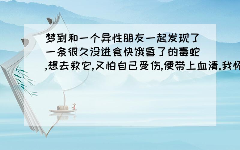 梦到和一个异性朋友一起发现了一条很久没进食快饿昏了的毒蛇,想去救它,又怕自己受伤,便带上血清.我怀着怜悯的心把蛇抱起来,它却突然醒来,并且用长长的毒牙深深的咬住了我的手腕.我当