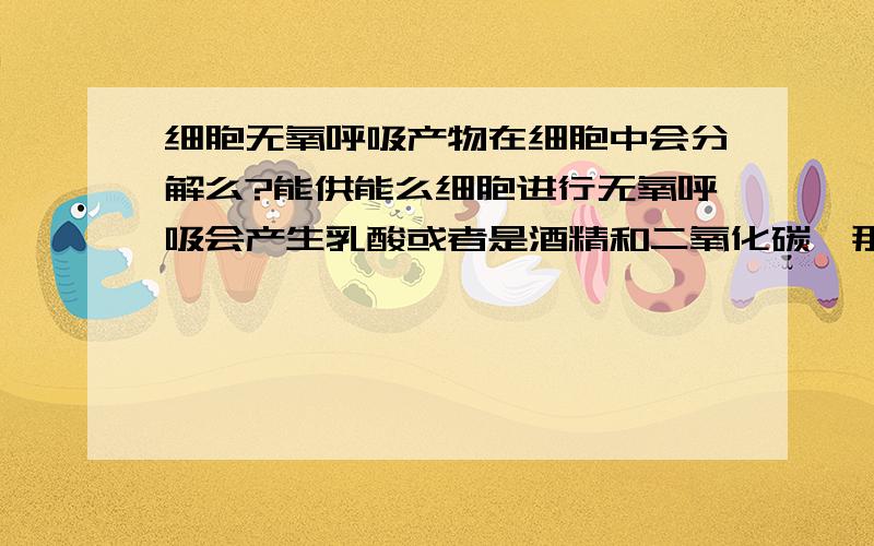 细胞无氧呼吸产物在细胞中会分解么?能供能么细胞进行无氧呼吸会产生乳酸或者是酒精和二氧化碳,那么产生的酒精和二氧化碳能够被分解释放能量么?