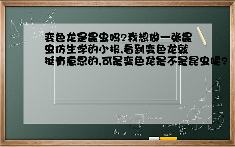 变色龙是昆虫吗?我想做一张昆虫仿生学的小报,看到变色龙就挺有意思的,可是变色龙是不是昆虫呢?