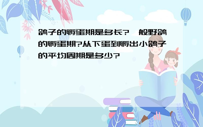 鸽子的孵蛋期是多长?一般野鸽的孵蛋期?从下蛋到孵出小鸽子的平均周期是多少?