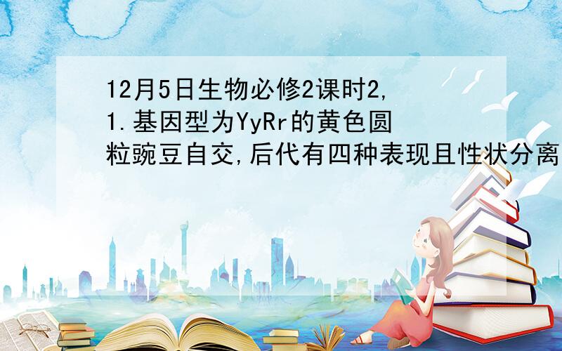 12月5日生物必修2课时2,1.基因型为YyRr的黄色圆粒豌豆自交,后代有四种表现且性状分离比为9：3：3：1,下面关于Y和y,R和r遗传的说法中错误的是：A Y和y遵循分离定律进行遗传B Y,y和R,r两对等位