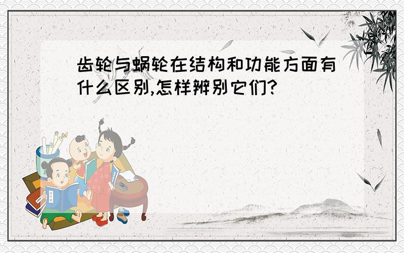 齿轮与蜗轮在结构和功能方面有什么区别,怎样辨别它们?