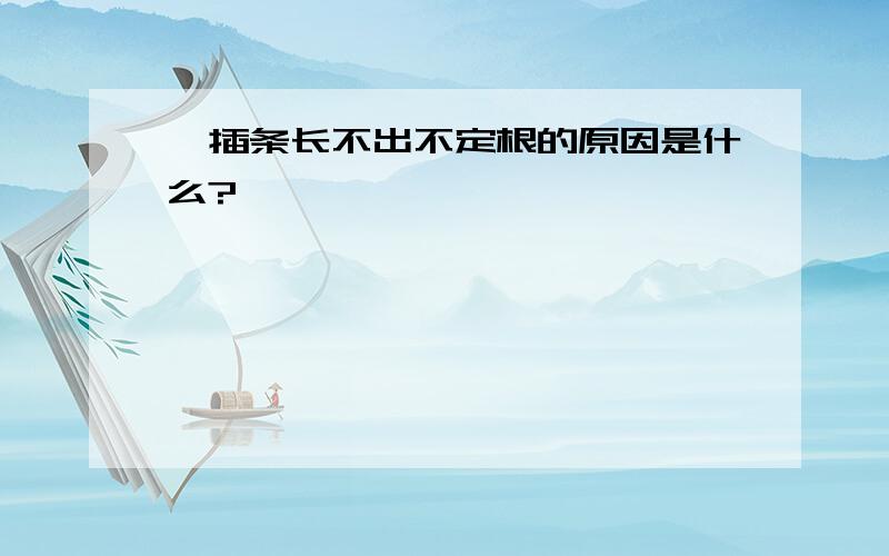 扦插条长不出不定根的原因是什么?