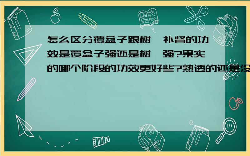 怎么区分覆盆子跟树莓补肾的功效是覆盆子强还是树莓强?果实的哪个阶段的功效更好些?熟透的还是没有熟的?