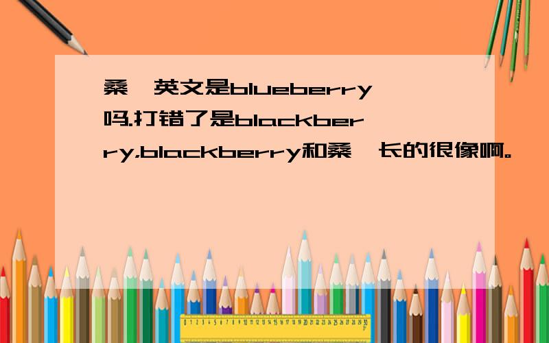 桑椹英文是blueberry吗.打错了是blackberry，blackberry和桑葚长的很像啊。