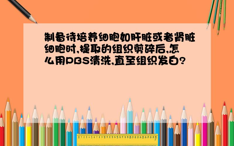 制备待培养细胞如肝脏或者肾脏细胞时,提取的组织剪碎后,怎么用PBS清洗,直至组织发白?