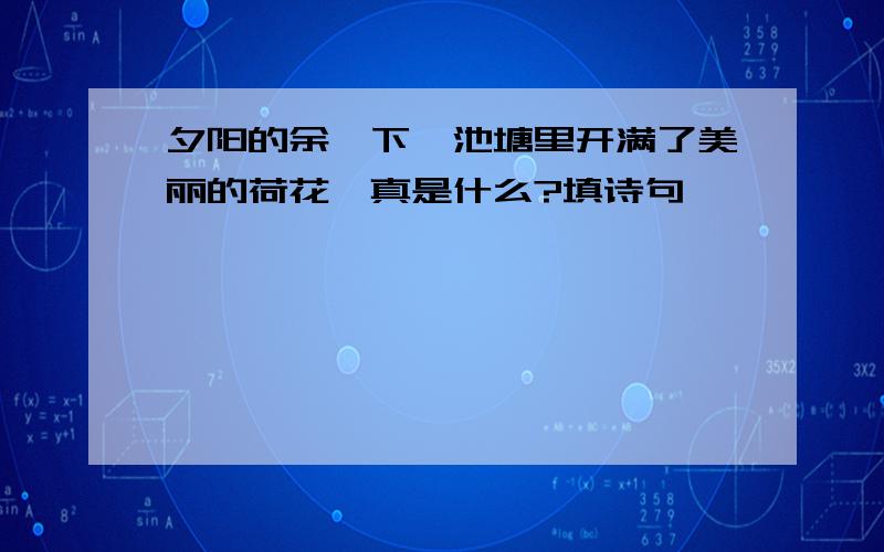 夕阳的余晖下,池塘里开满了美丽的荷花,真是什么?填诗句