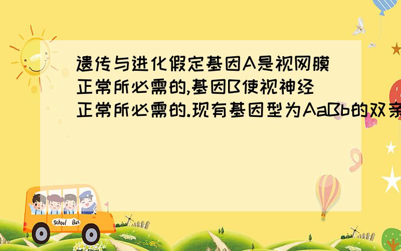 遗传与进化假定基因A是视网膜正常所必需的,基因B使视神经正常所必需的.现有基因型为AaBb的双亲,从理论上分析,他们所生的后代视觉正常的可能性是 9/16,为什么?