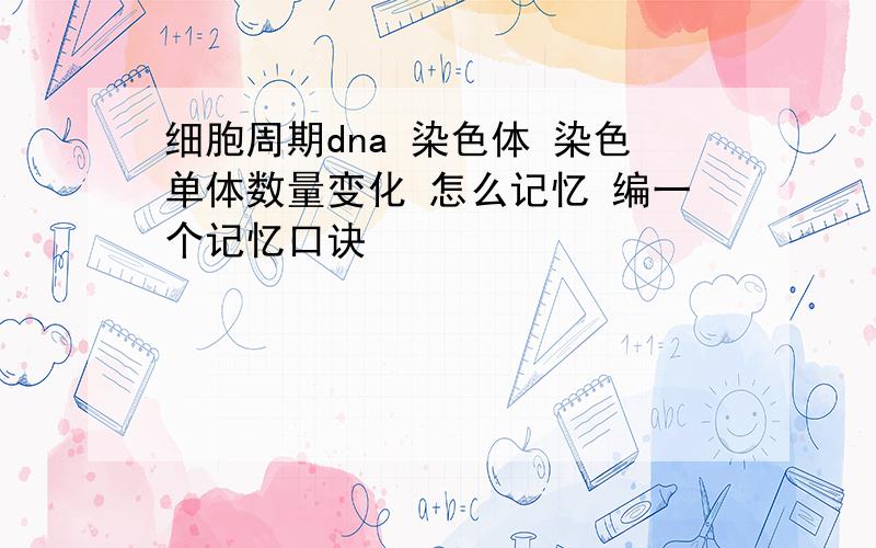 细胞周期dna 染色体 染色单体数量变化 怎么记忆 编一个记忆口诀