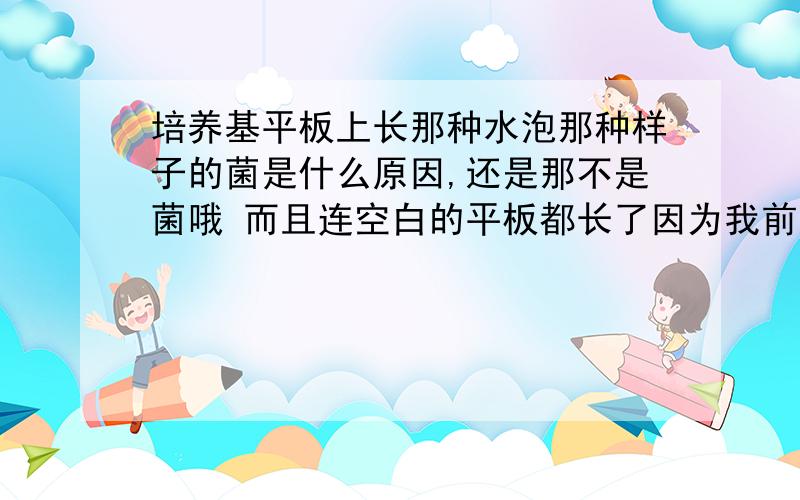 培养基平板上长那种水泡那种样子的菌是什么原因,还是那不是菌哦 而且连空白的平板都长了因为我前半个月去培训了 半个月实验室没有做实验 一回来我就杀菌 该清洗的都清洗了 五一三天