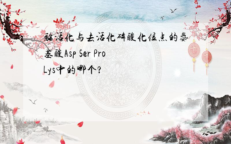 酶活化与去活化磷酸化位点的氨基酸Asp Ser Pro Lys中的哪个?