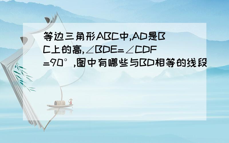 等边三角形ABC中,AD是BC上的高,∠BDE=∠CDF=90°,图中有哪些与BD相等的线段