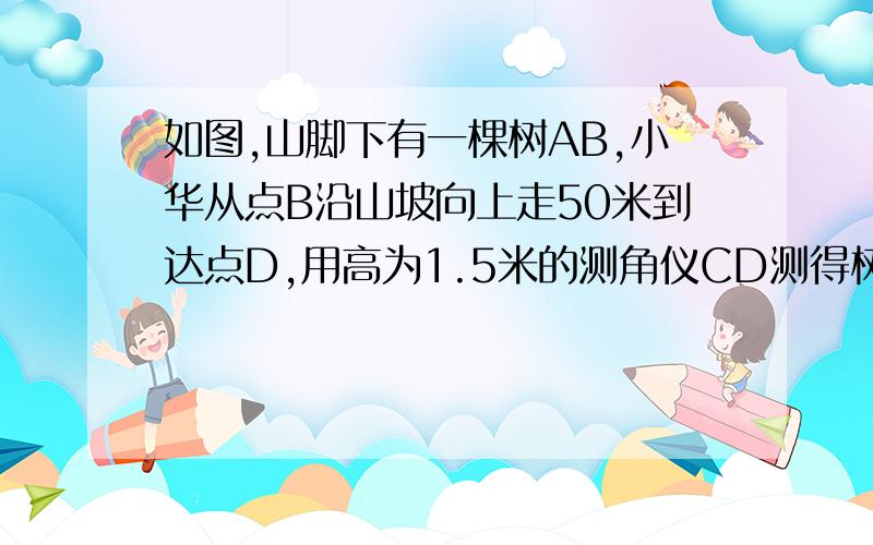 如图,山脚下有一棵树AB,小华从点B沿山坡向上走50米到达点D,用高为1.5米的测角仪CD测得树顶的仰角为10度,已知山坡的坡角为15度,求树AB的高.