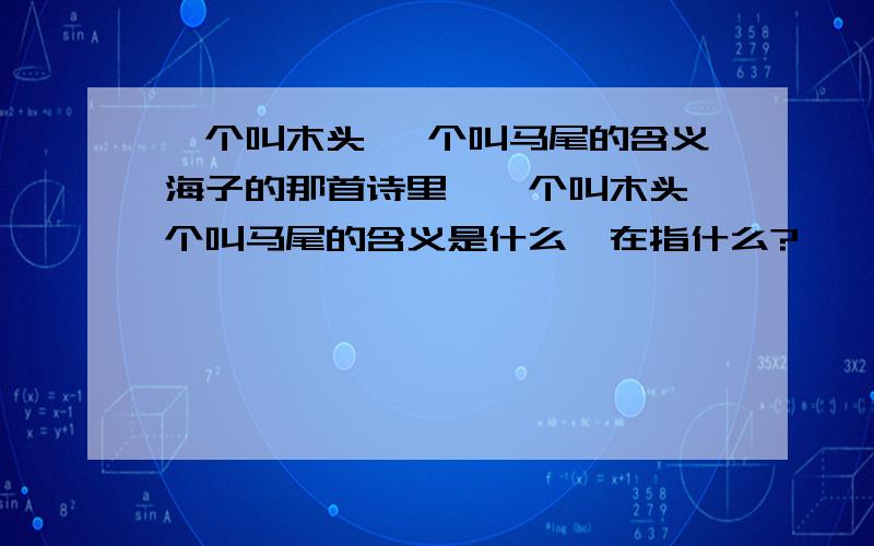 一个叫木头 一个叫马尾的含义海子的那首诗里,一个叫木头一个叫马尾的含义是什么,在指什么?