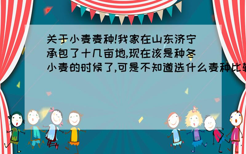 关于小麦麦种!我家在山东济宁承包了十几亩地,现在该是种冬小麦的时候了,可是不知道选什么麦种比较合适!请懂行的各位老大给介绍几种比较合适的麦种!