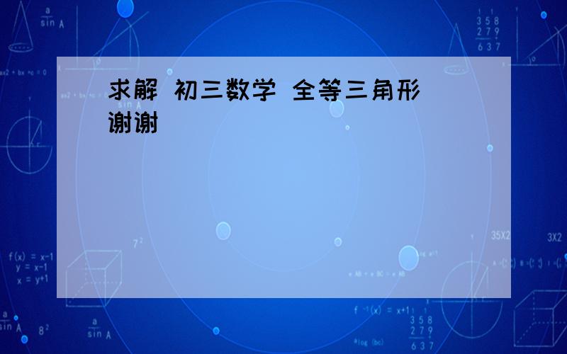 求解 初三数学 全等三角形 谢谢