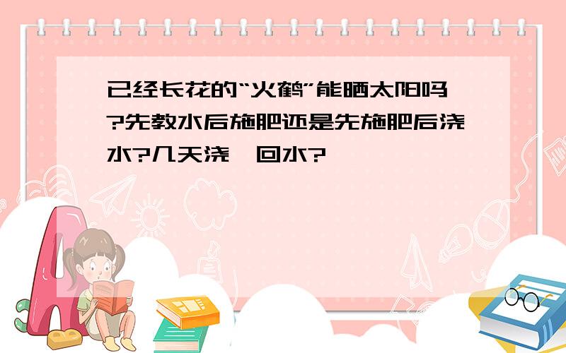 已经长花的“火鹤”能晒太阳吗?先教水后施肥还是先施肥后浇水?几天浇一回水?