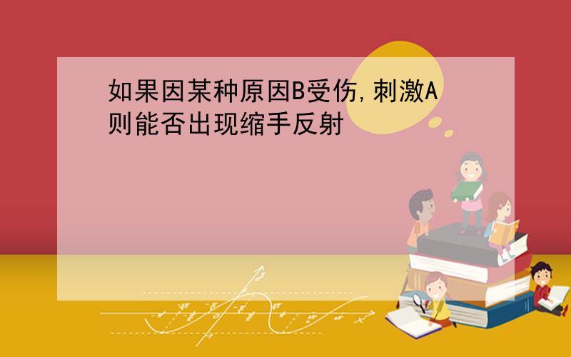 如果因某种原因B受伤,刺激A则能否出现缩手反射