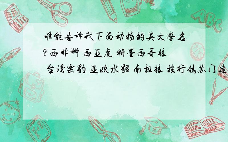 谁能告诉我下面动物的英文学名?西非狮 西亚虎 新墨西哥狼 台湾云豹 亚欧水貂 南极狼 旅行鸽苏门达腊虎 白鳍豚 北部白犀牛