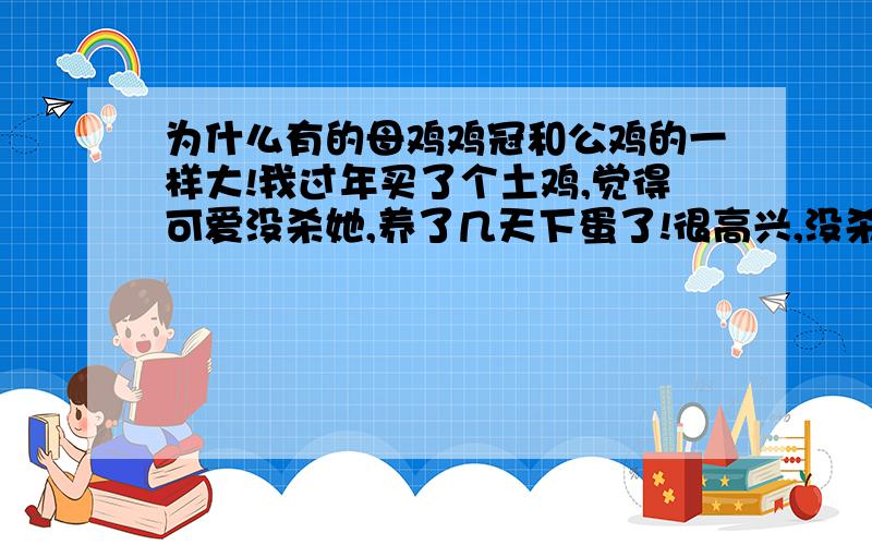 为什么有的母鸡鸡冠和公鸡的一样大!我过年买了个土鸡,觉得可爱没杀她,养了几天下蛋了!很高兴,没杀她,没想到她的鸡冠越来越大,现在真的像下蛋公鸡了……为什么啊?她下的蛋好小,下过一