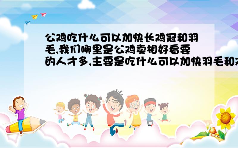 公鸡吃什么可以加快长鸡冠和羽毛,我们哪里是公鸡卖相好看要的人才多,主要是吃什么可以加快羽毛和鸡冠的生长速度.