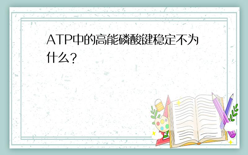 ATP中的高能磷酸键稳定不为什么？